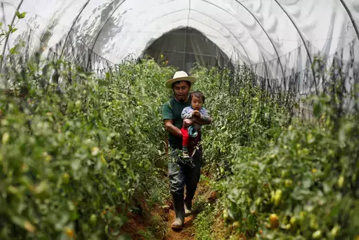 A man as viewed carrying his son through a community greenhouse. 