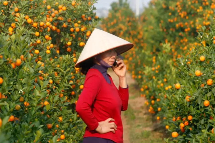 A woman uses a mobile phone near kumquat trees in Hanoi, Vietnam, 2014 (Courtesy Reuters/Kham).