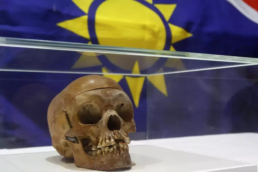 A skull from the Herero and ethnic Nama people displayed during a ceremony at Berlin's Charite hospital September 30, 2011. The skull is one of twenty taken from victims who died at the hands of German colonial forces in Namibia between 1904 and 1908.