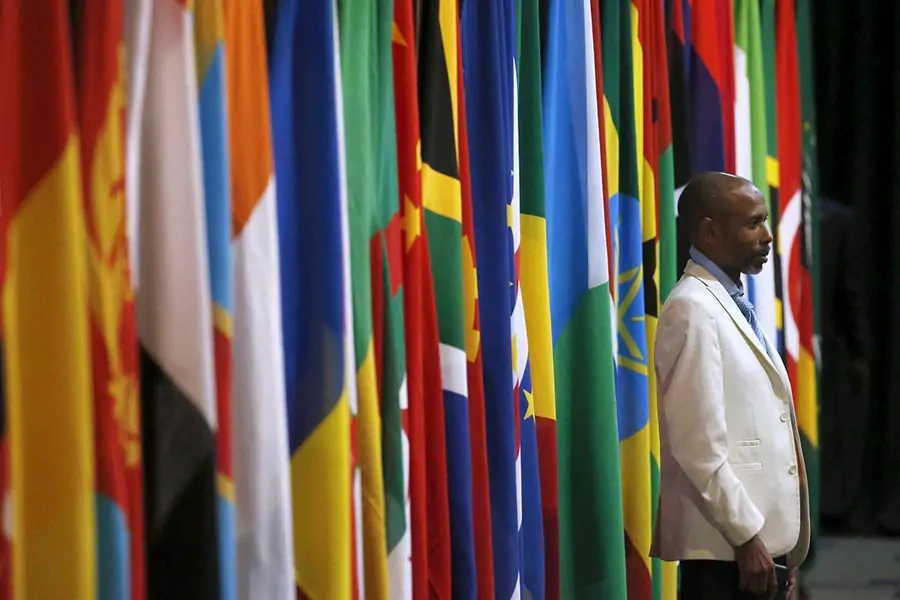 A visitor stands in front of flags representing different African countries during a Forum on China-Africa Cooperation in Johannesburg, December 4, 2015.