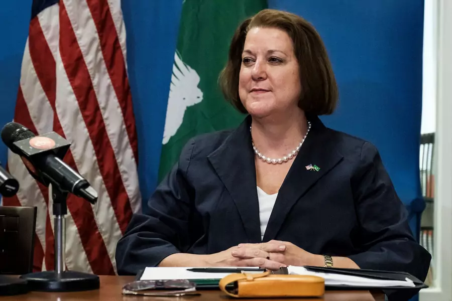 US Representative to the African Union Mary Beth Leonard looks on during a joint press conference with Assistant Secretary of State for African Affairs and US ambassador to Ethiopia at the US Embassy in Addis Ababa, on November 30, 2018
