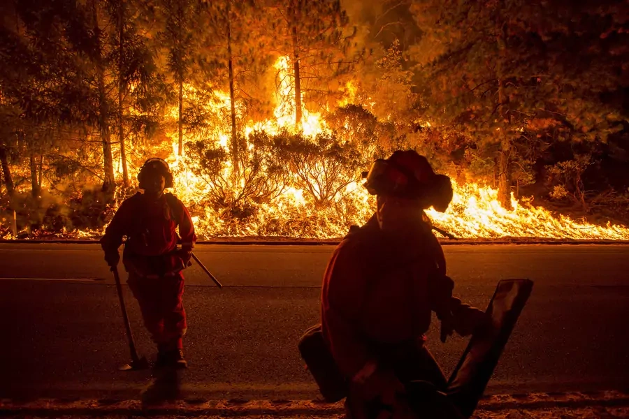 Firefighters battling the King Fire watch as a backfire burns along Highway 50 in Fresh Pond, California September 16, 2014. The fire led officials to call on about 400 people to evacuate from areas threatened by the blaze.