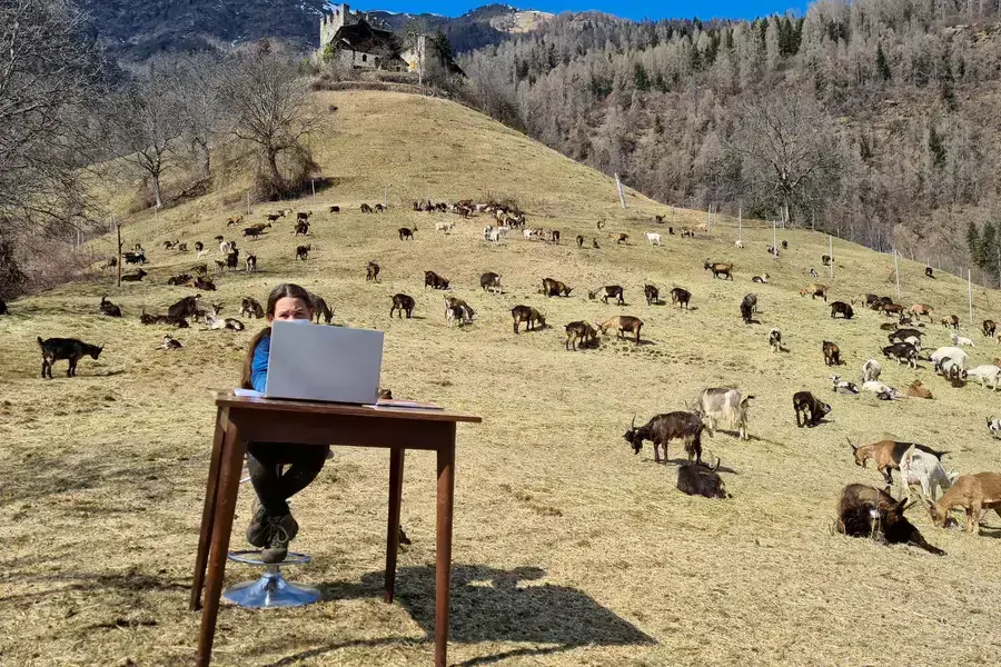 Ten year old Fiammetta attends her online lessons surrounded by her shepherd father's herd of goats in the mountains, while schools are closed due to coronavirus disease (COVID-19) restrictions, in Caldes, Italy.