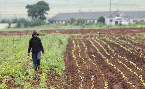 Land and Politics in South Africa