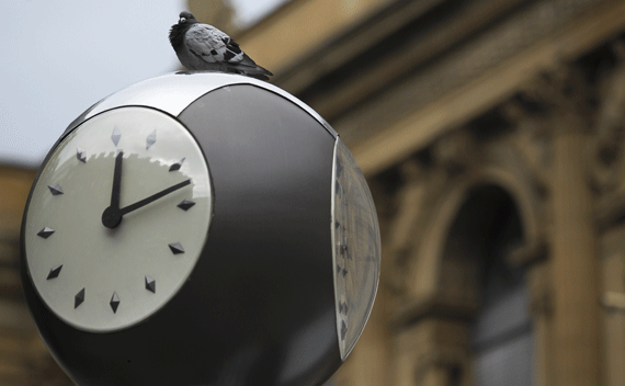 A pigeon sits on a clock in front of the Frankfurt stock exchange, August 25, 2011. REUTERS/Alex Domanski (GERMANY - Tags: ANIMALS)