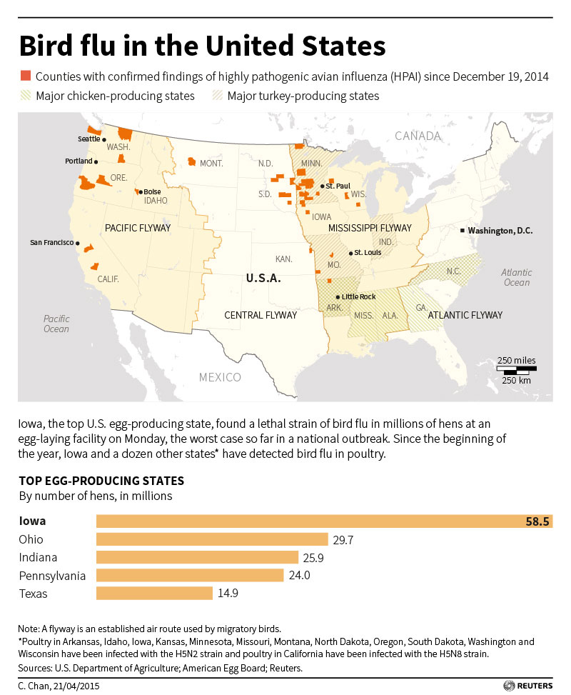 Avian Influenza Council on Foreign Relations