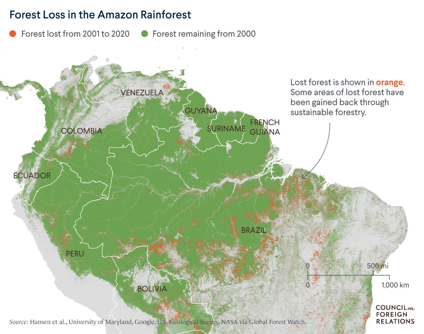 Deforestation in Asia: a call for conservation