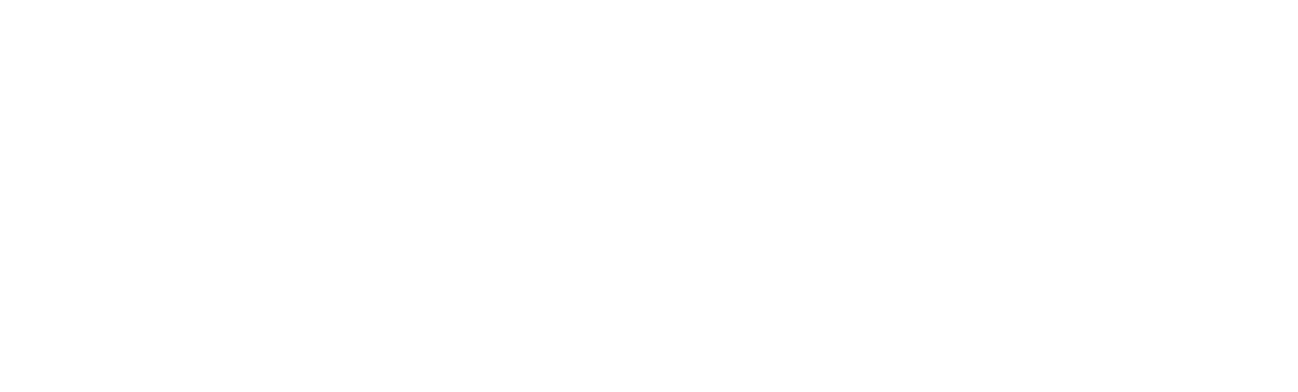 Business and Geopolitics logo