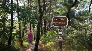 A person walks past a sign warning of ticks on a hiking trail in Massachusetts. 