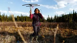 A person holds a tracking device for caribou in a forest. 