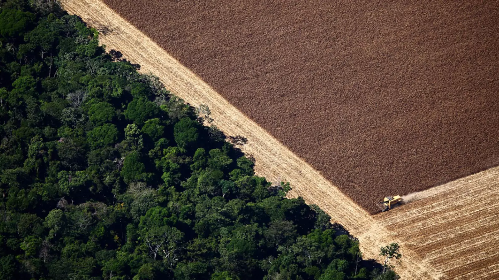 Deforestation in  Rainforest Threatens Indigenous Lands