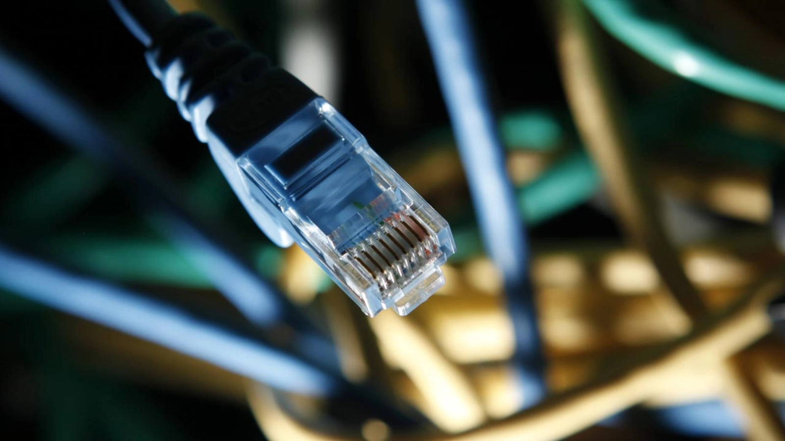 An internet cable in a server room. 