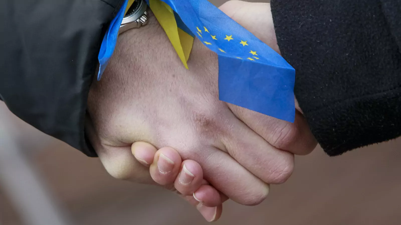 Students stand on a street and hold hands to form a human chain from the Ukrainian capital to the western border during a demonstration in support of EU integration.