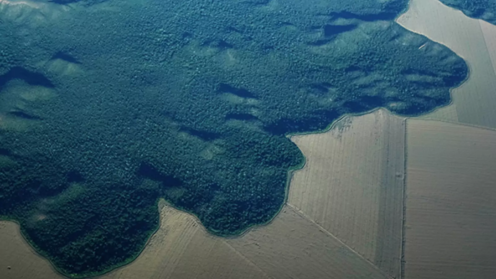The Amazon Rainforest gives way to farmland in Brazil’s northern Para state.