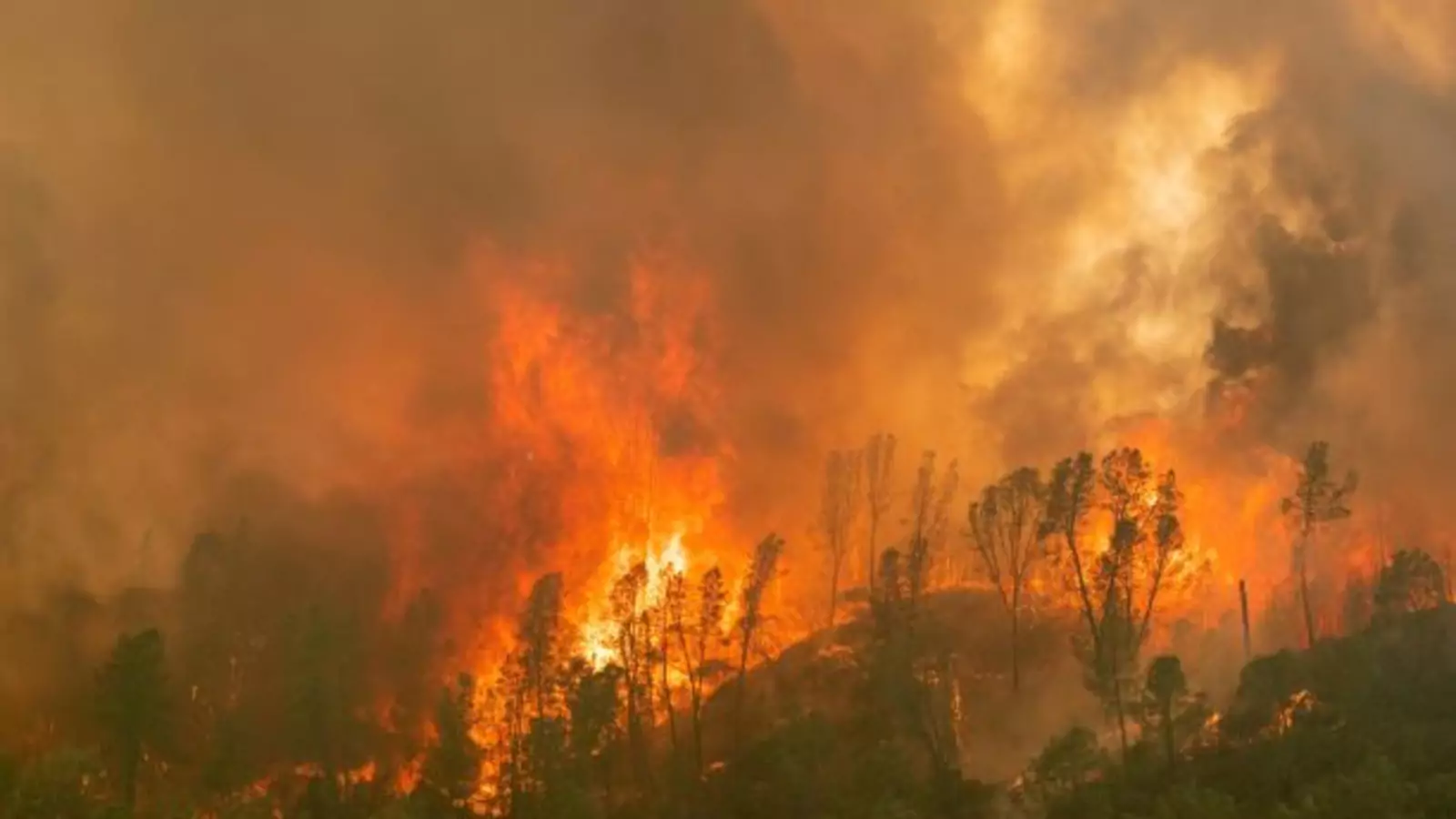 California Is a Preview of Climate Change&#39;s Devastation for the Entire World | Council on Foreign Relations