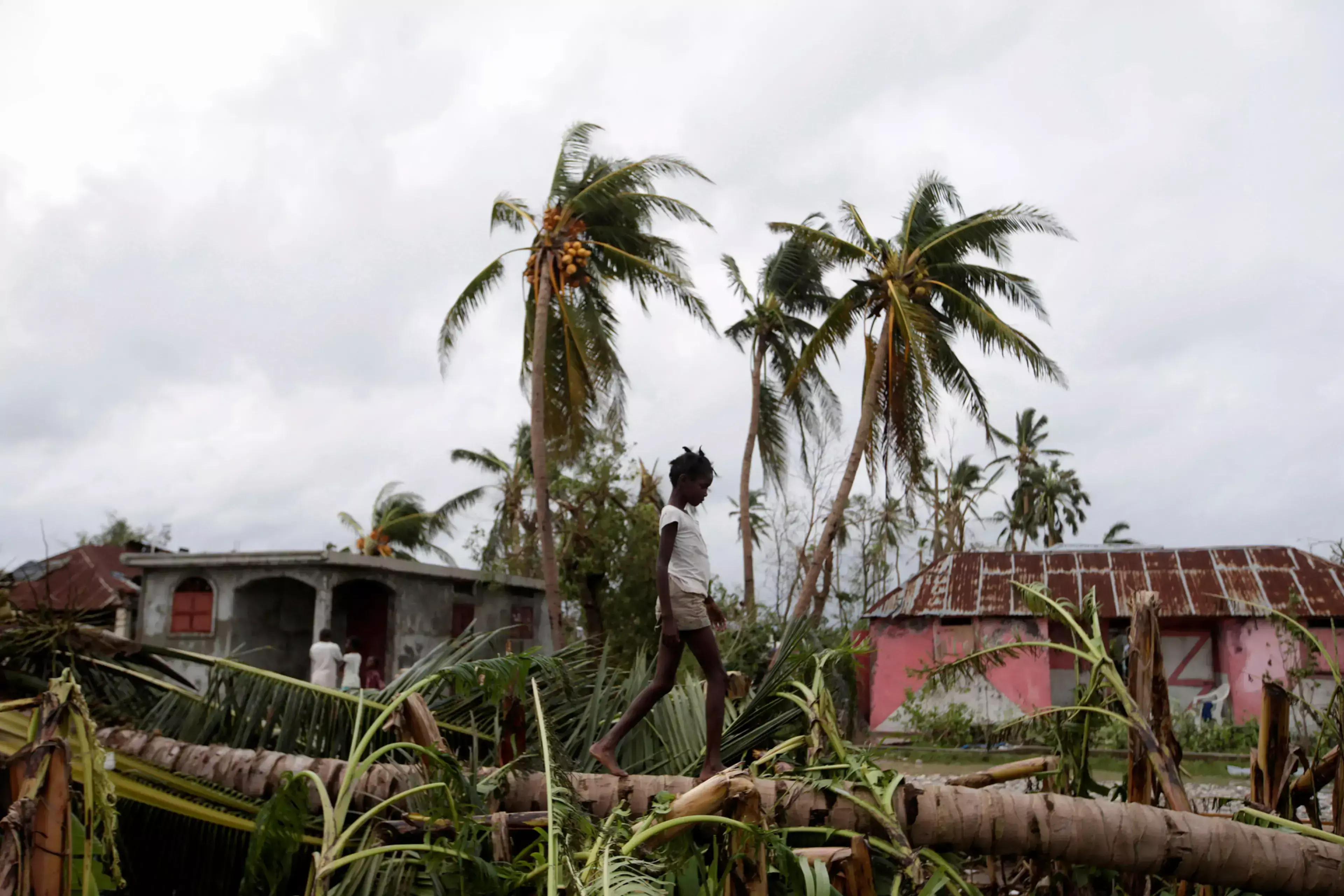 A young girl walks on a fallen tree in Haiti after Hurricane Matthew made landfall in 2016.