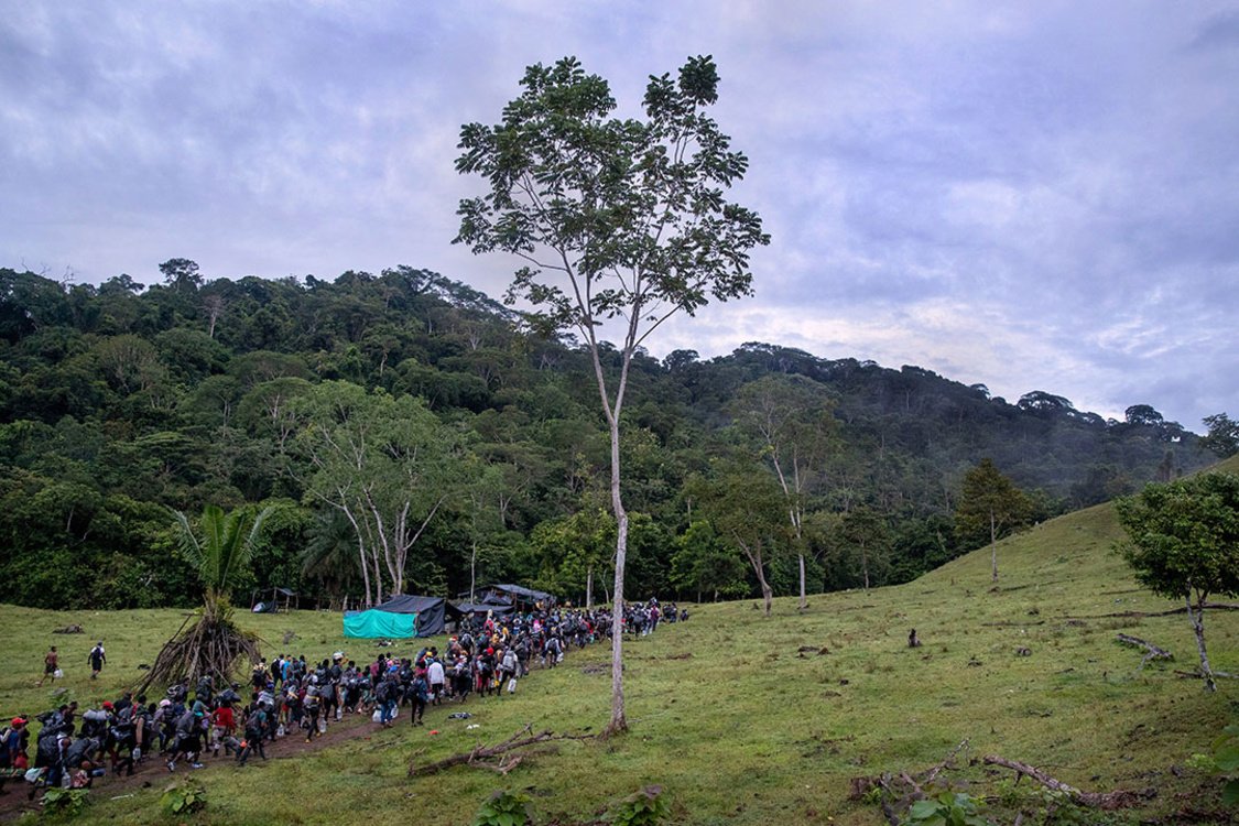 A once-remote patch of rainforest is now packed with migrants