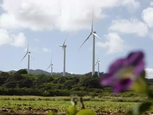 Wind turbines are seen on the northshore of Oahu, Hawaii in November 2011. (Yuriko Nakao/Courtesy Reuters)