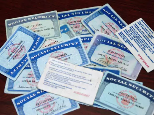 Counterfeit Social Security cards that were confiscated by Immigration and Customs Enforcement agents. (ICE Handout/Courtesy Reuters)