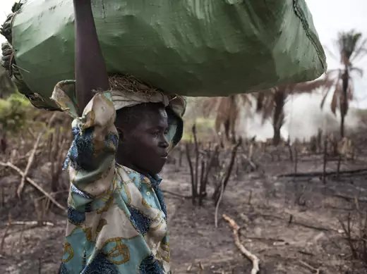 A worker carries charcoal through a slashed and burned area in eastern Sierra Leone