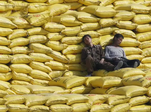 North Korean workers nap on piles of fertilizer shipped from China on the banks of Yalu River near the North Korean town of Sinuiju
