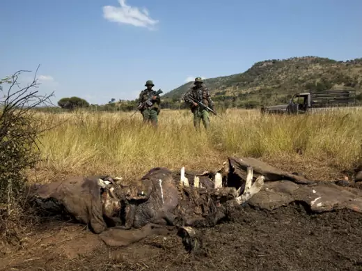 Members of the Pilanesberg National Park Anti-Poaching Unit (APU) stand guard as conservationists and police investigate the scene of a rhino poaching incident April 19, 2012. 