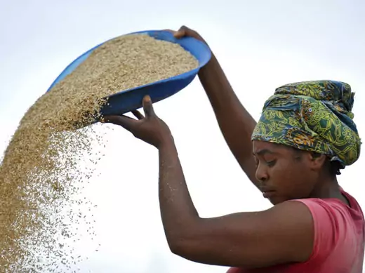 A woman works in a rice mill in Aliade community in the Gwer local government area of the central state of Benue 05/10/2012.