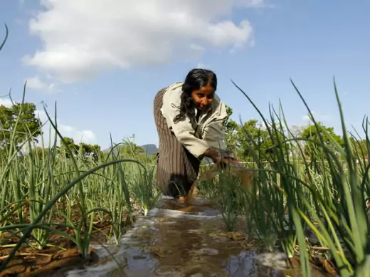 Irrigation-water-agriculture-food-security-USAID-development-Sri-Lanka