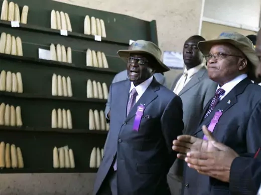 Africa - Mugabe and Zuma Walking