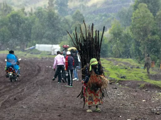 A woman, displaced by recent fighting between Congolese army and the M23 rebels, carries firewood in the rain in Munigi village near Goma in the eastern Democratic Republic of Congo September 1, 2013.