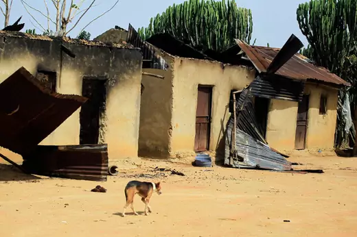 A dog walks past burnt houses in Angwan Gata village, in Kaura Local Govt. Area, Kaduna State, Kaduna State, March 19, 2014.