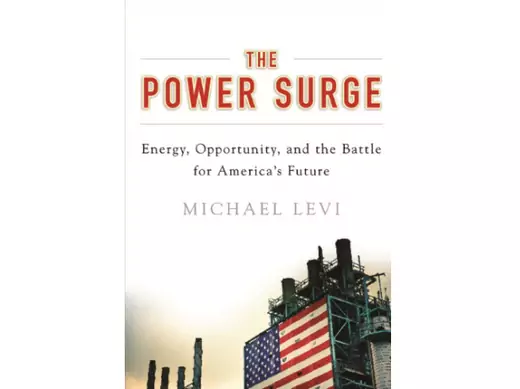 The_Power_Surge_Paperback_Levi_10012014