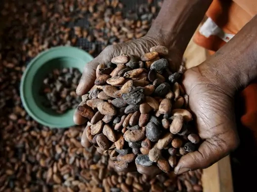 Ivory Coast Cocoa