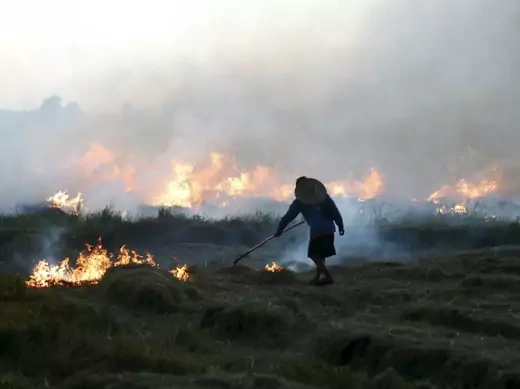 A farmer burns a paddy field in Thailand's Nakhonsawan province, north of Bangkok, Thailand, August 14, 2015 (Reuters/Chaiwat Subprasom).