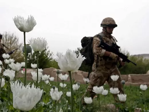 Poppy-field-soldier-Helmand