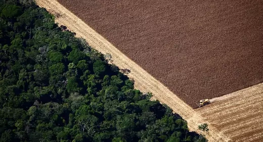 Deforestation-in-the-Amazon-InfoGuide-CFR-1160-630.jpg