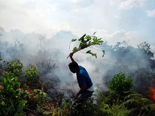 indonesia-forest-fire