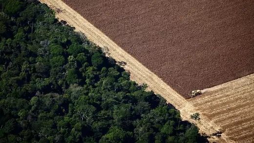 Deforestation in the Amazon InfoGuide