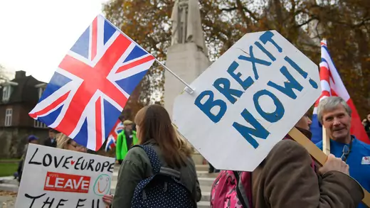 Demonstrators supporting Brexit protest outside of the Houses of Parliament in London, Britain, November 23, 2016.