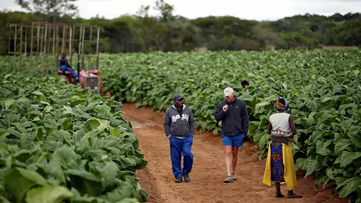Zimbabwe-land-rights-farm-Mugabe