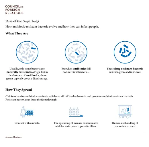 History of Antimicrobial Discovery