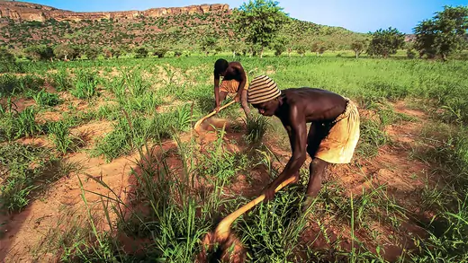 Mali-Farming-Poverty-Rural