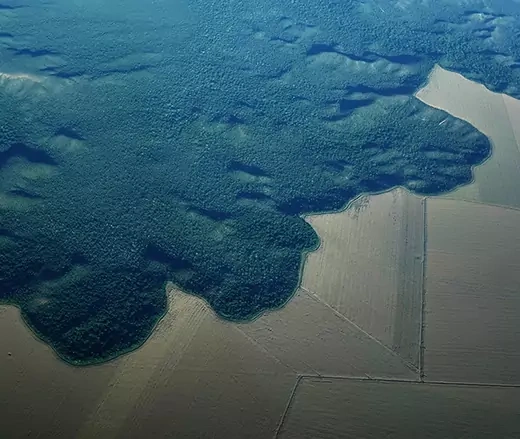 Depleted Brazilian Amazon