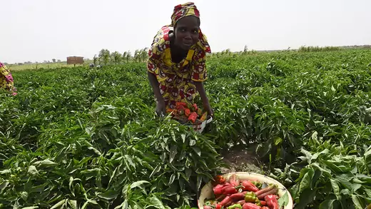 Nigeria-Women-Farm-Agriculture-Land