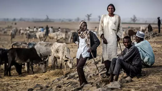 Nigeria-Herders-Adamawa