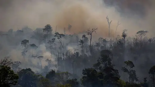Smokes rises from forest fires in Para State, Brazil.