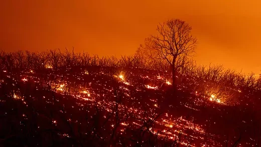 Flames burn a forest in California. 