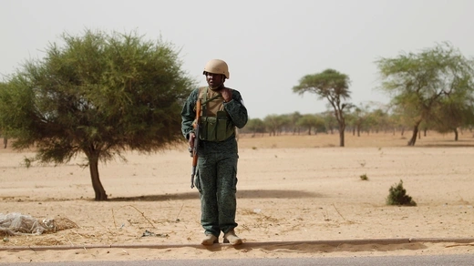 A soldier stands on the side of the road in front of sparse trees on a sandy landscape.