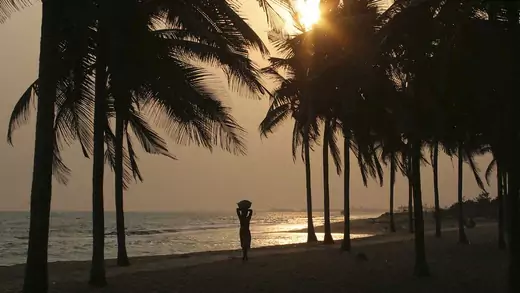 Silhouetted palm trees and woman carrying merchandise on her head on beach at sunset, Gulf of Guinea, Lome, Togo, West Africa.