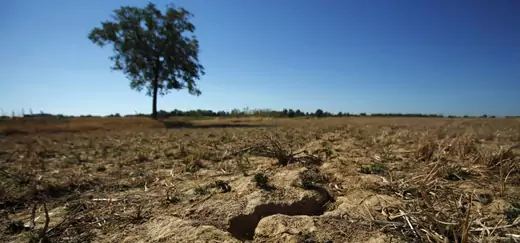 A drought-stricken field in Drenje, Croatia.